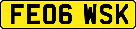 FE06WSK