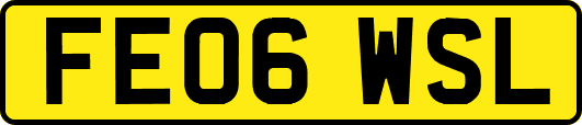 FE06WSL