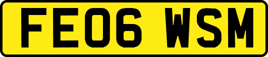 FE06WSM