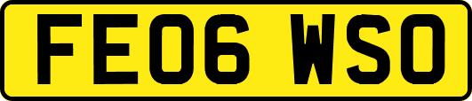 FE06WSO