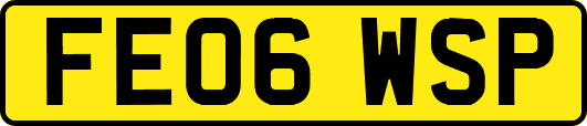 FE06WSP