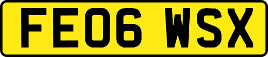 FE06WSX