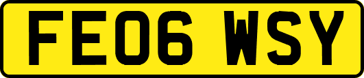 FE06WSY