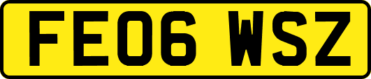 FE06WSZ