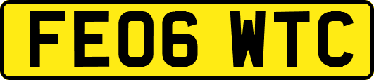 FE06WTC