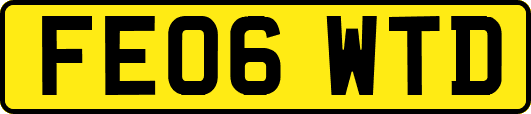 FE06WTD