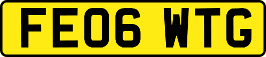FE06WTG
