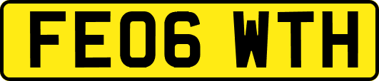 FE06WTH