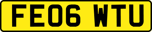 FE06WTU
