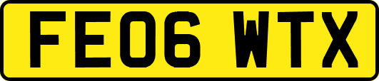 FE06WTX