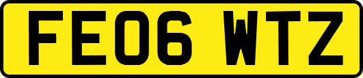 FE06WTZ