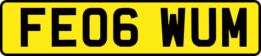 FE06WUM