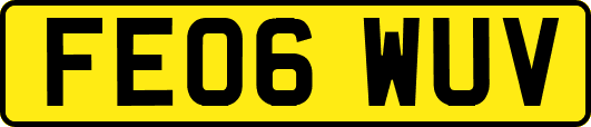 FE06WUV