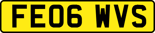 FE06WVS