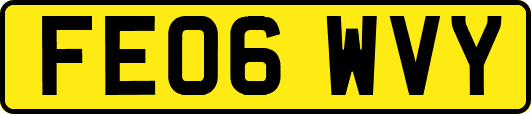 FE06WVY