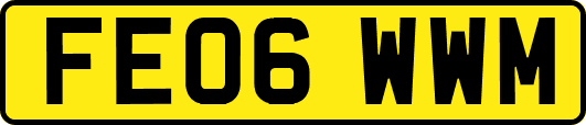 FE06WWM
