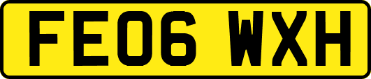 FE06WXH