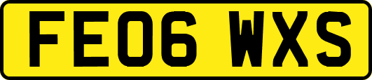 FE06WXS