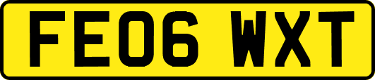 FE06WXT
