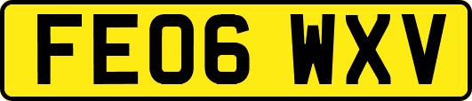 FE06WXV