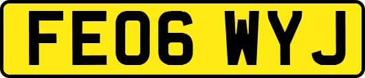 FE06WYJ