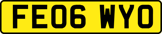 FE06WYO