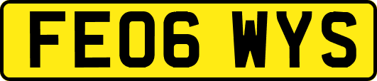 FE06WYS