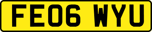 FE06WYU