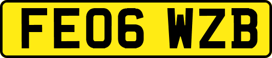 FE06WZB