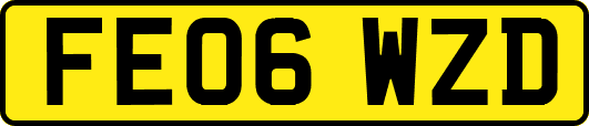 FE06WZD