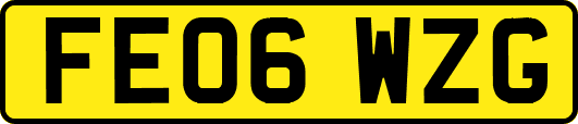 FE06WZG