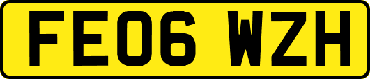 FE06WZH
