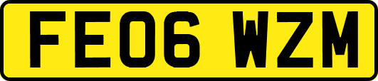FE06WZM