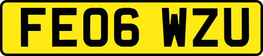 FE06WZU