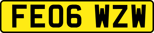FE06WZW