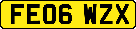 FE06WZX