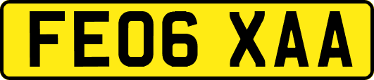 FE06XAA