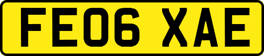 FE06XAE