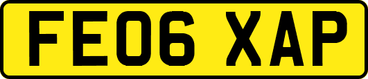 FE06XAP
