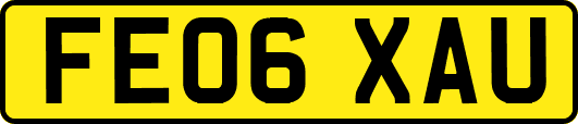 FE06XAU
