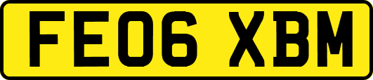 FE06XBM
