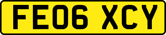 FE06XCY