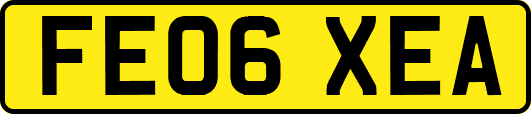 FE06XEA