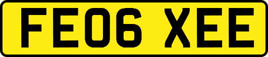 FE06XEE