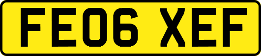 FE06XEF