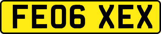 FE06XEX