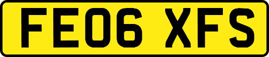 FE06XFS