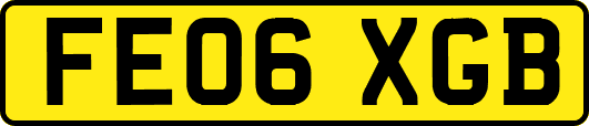 FE06XGB