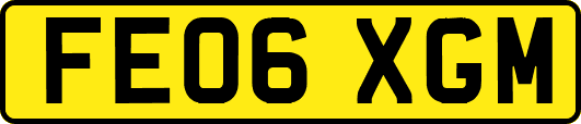FE06XGM