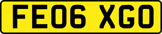 FE06XGO